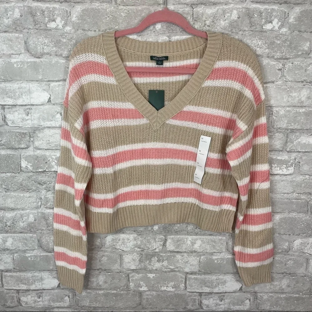 Wild Fable Striped Vneck sweater - Picture 3 of 6